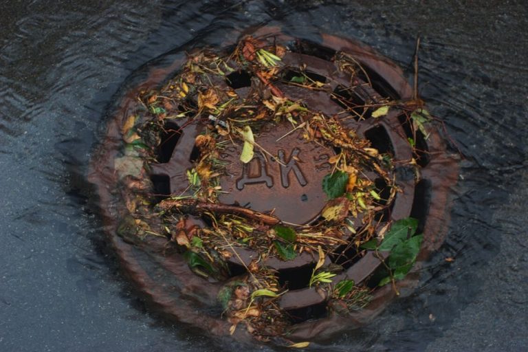 How Often Should Drains
